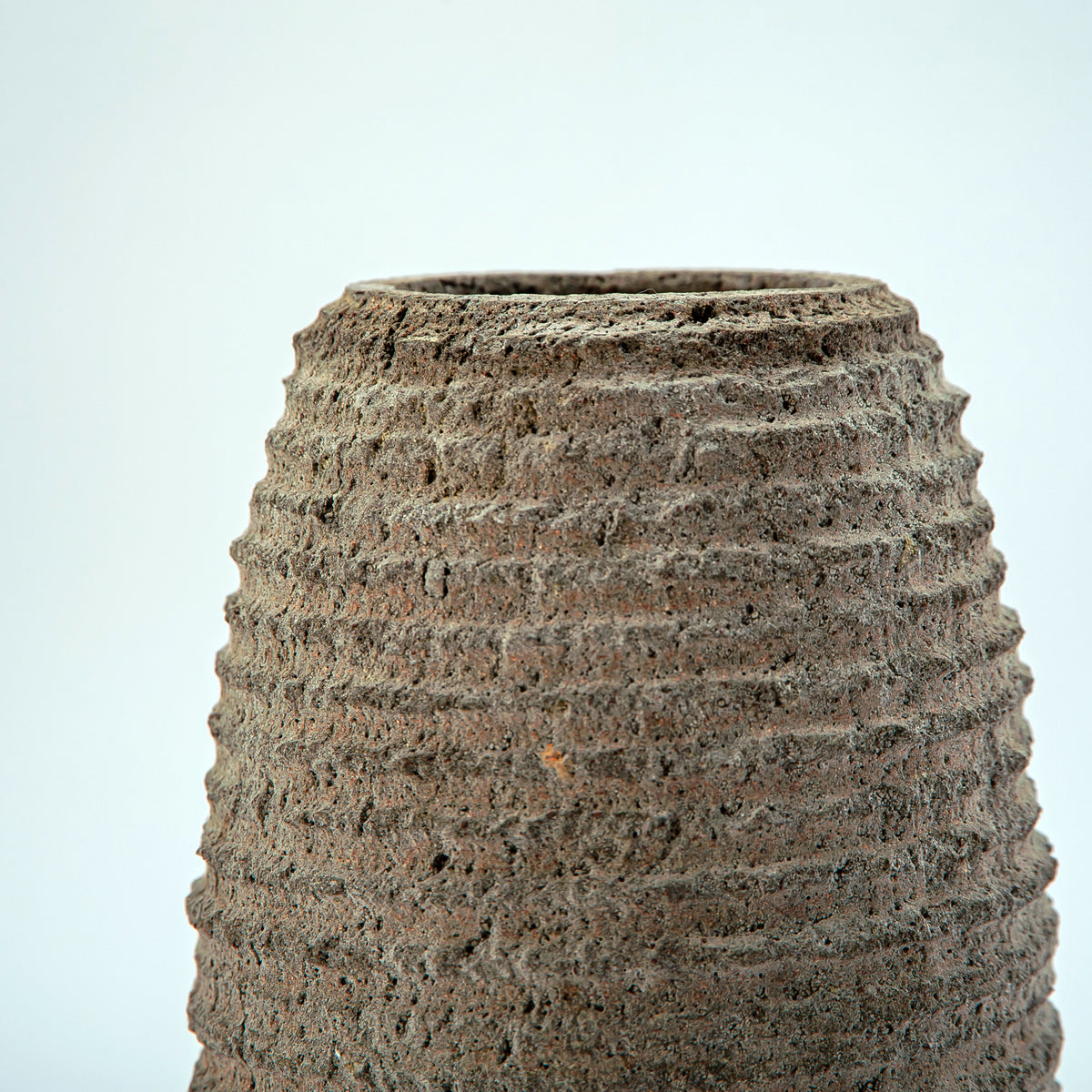 Pyrosia Vase